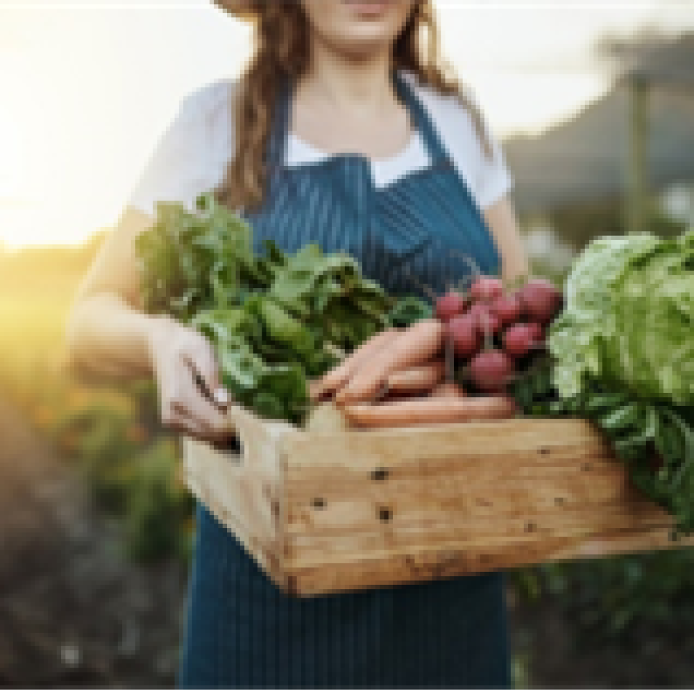 farmers market
