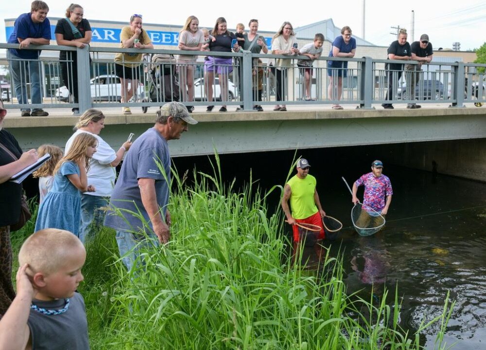 Duck race 2